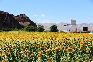 《忍者龙剑传4》八云皮肤视频 酷炫至极视觉享受